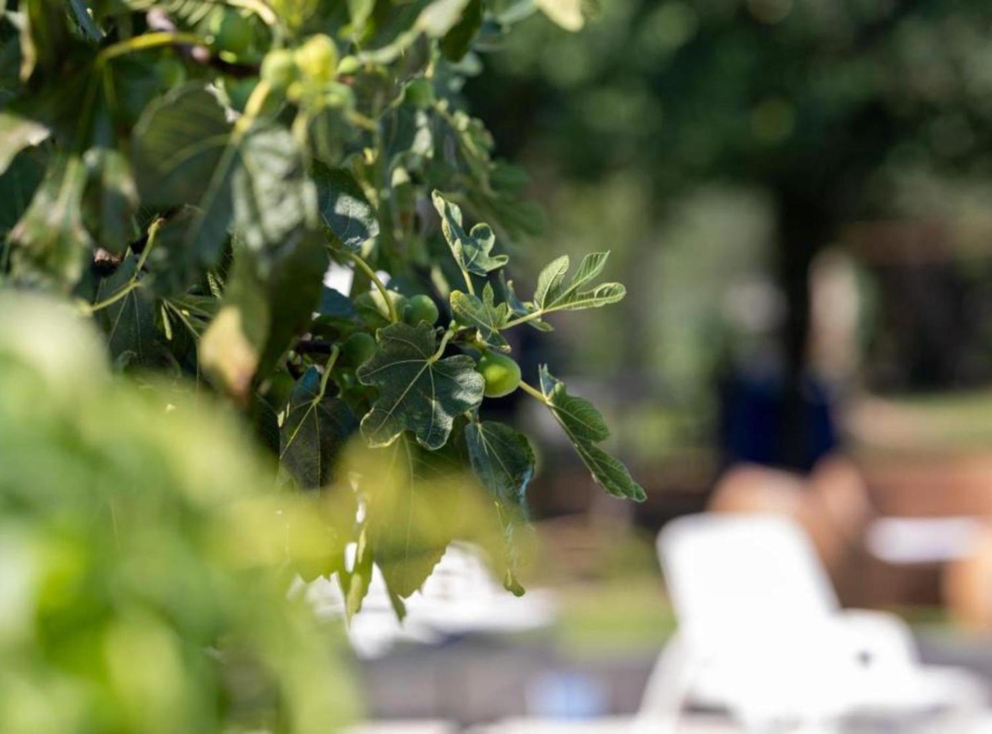 M & B Διαμέρισμα Bibinje Εξωτερικό φωτογραφία
